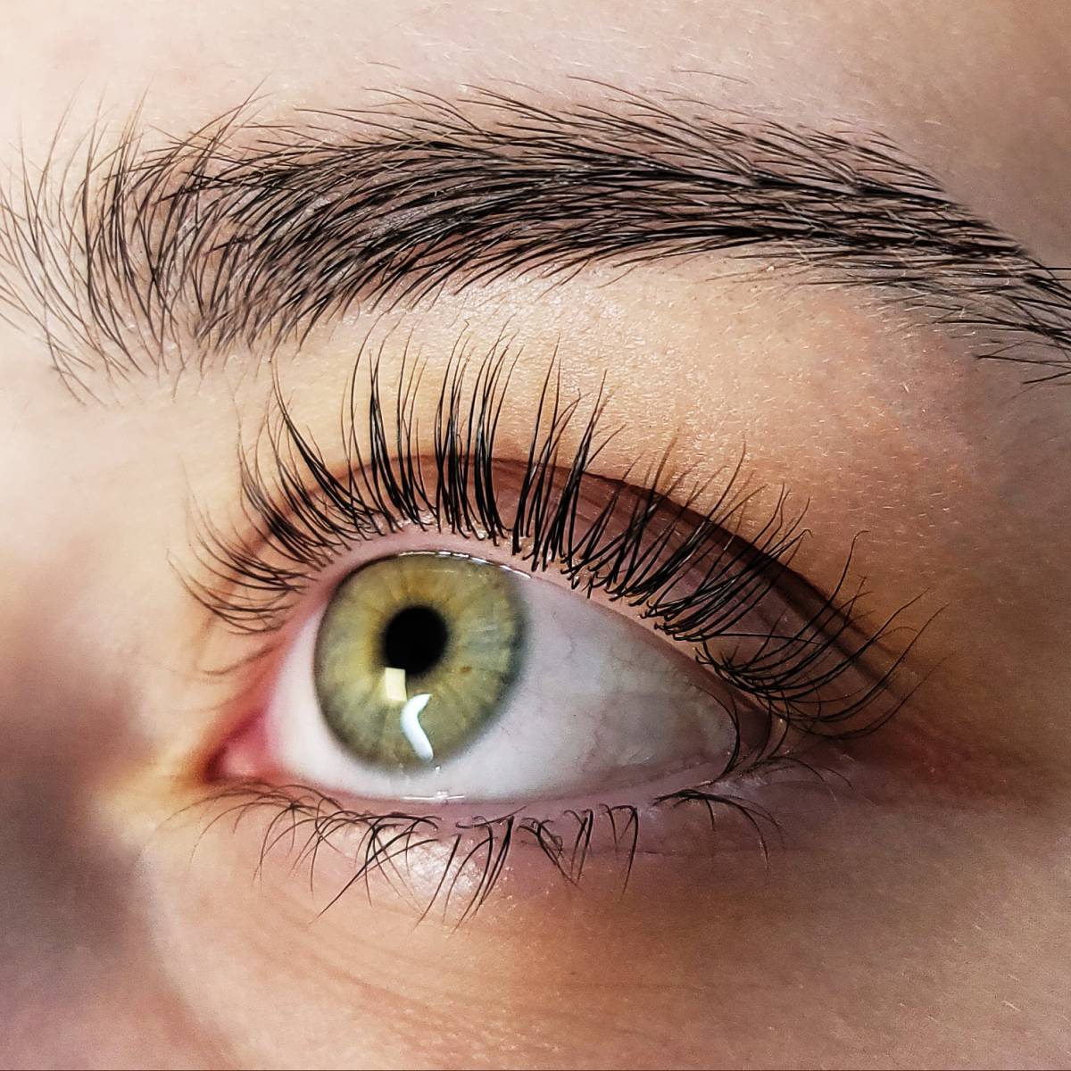 Formation Rehaussement de Cils à Lyon (Brignais) & Marseille